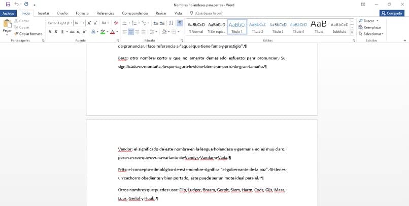 Microsoft Word -asiakirja