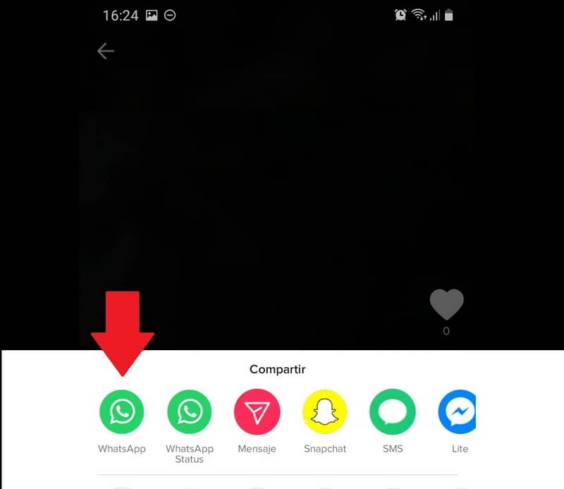 Video WhatsApp TiK ToK