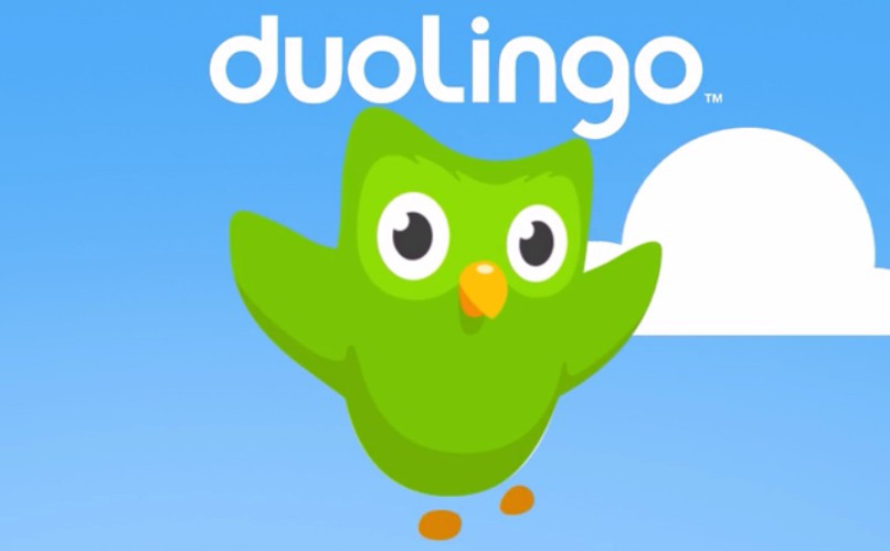   vihreä pöllö duolingo-logo
