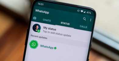 Kuinka poistaa joku Whatsapp-yhteystietoluettelosta 4 Kuinka poistaa joku WhatsApp yhteystietoluettelosta