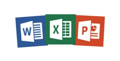 Word Excel y Power Point logos