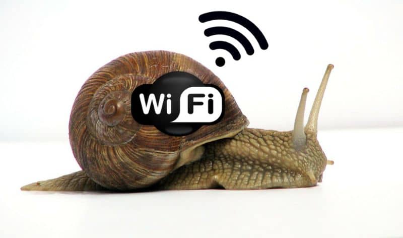 caracol WiFi