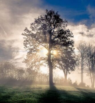 fotografia naturaleza HD