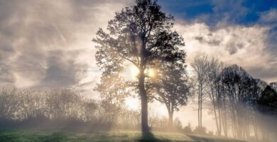 fotografia naturaleza HD