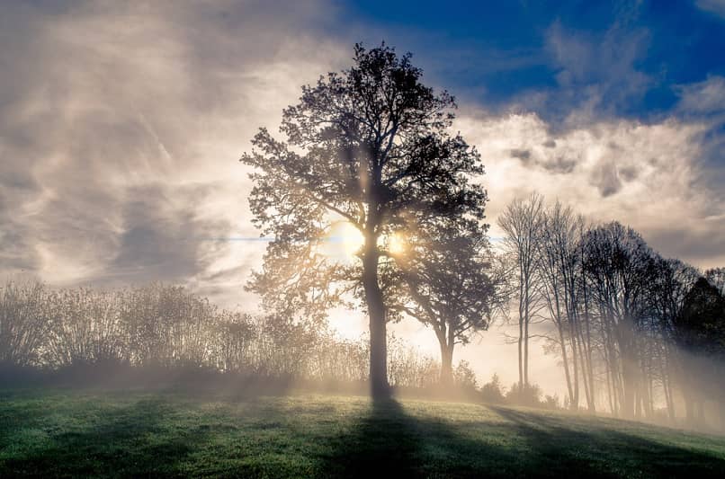 fotografia naturaleza HD