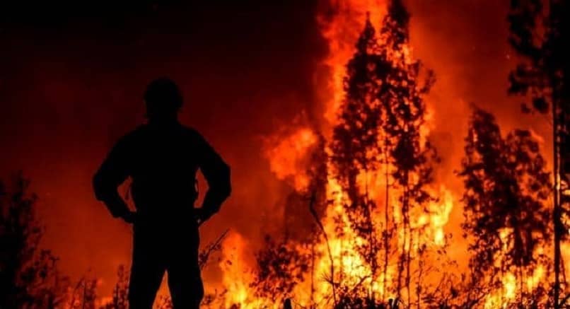 incendio forestal fuego