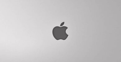 logo de apple gris