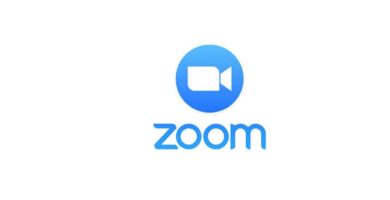 logo zoom fondo blanco