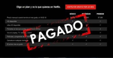 netflix pagado 14087