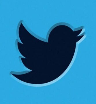 pajaro de twitter negro