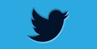 Mistä tiedän, kuka on lisännyt twiitteihini kirjanmerkit? - Vaihe vaiheelta (esimerkki) 24 pajaro de twitter negro