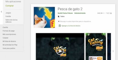 play store gatos 13113