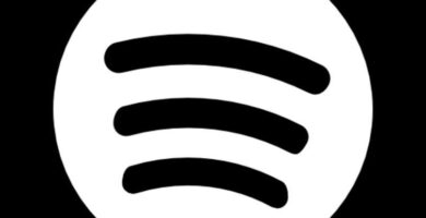 spotify logo negro 13892