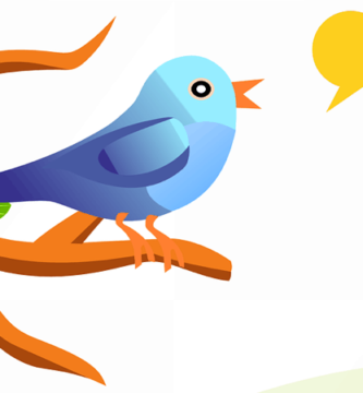 twitter bird feature 1000x450