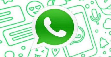 whatsapp logotipo oficial fondo 13935