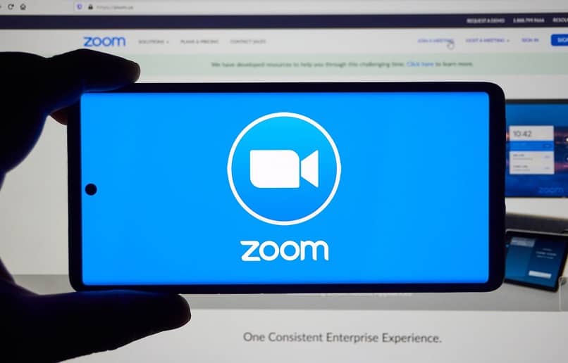 zoom logo telefono 9516