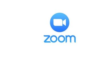 zoom logo 9493