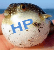 HP: n langattoman avustajan ja muun Bloatware-ohjelman poistaminen käytöstä 13 1622826895 image40