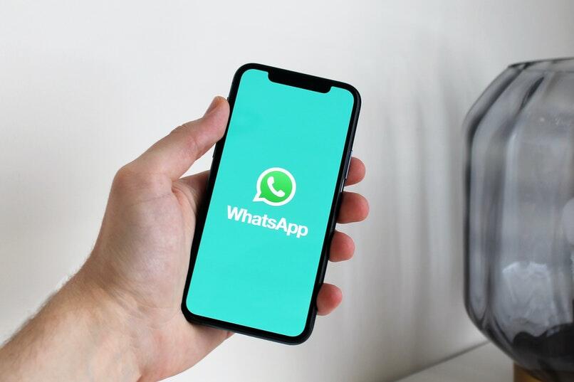 havainnollistettu WhatsApp-näyte