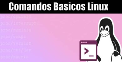 Comandos basicos Linux