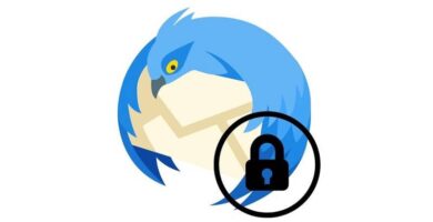 Kuinka vaihdan Mozilla Thunderbird -tilini salasanan 11 Icono de Mozilla Thunderbird candado