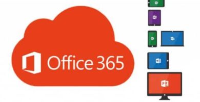 Office 365 1