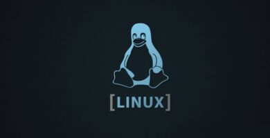 Pinguino Linux fondo negro