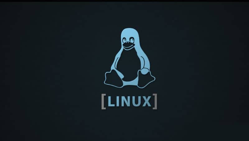 Pinguino Linux fondo negro