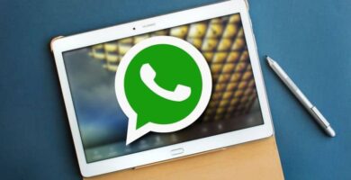 WhatsAppin asentaminen ja aktivointi tablet-laitteelle (esimerkki) 4 Tablet WhatsApp Lapiz