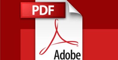 adobe pdf