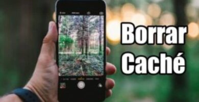 borrar cache