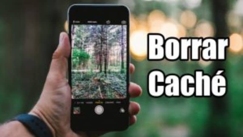 borrar cache