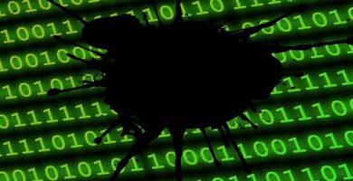 Kuinka palauttaa poistetut WhatsApp-keskustelut - askel askeleelta 16 datos codigo