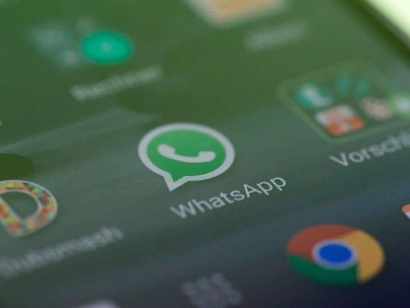 Kuinka poistaa valokuvien ja videoiden automaattiset lataukset WhatsAppista? 1 desactivar descargas automaticas whatsapp