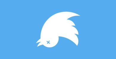 Twitter-tilin poistaminen käytöstä tai poistaminen lopullisesti tietokoneelta, Androidilta ja iPhonelta (esimerkki) 31 eliminar
