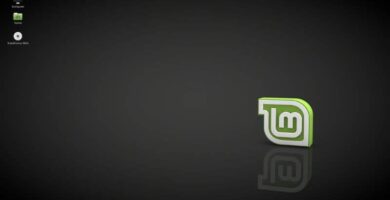 linux mint