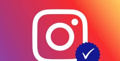 logo instagram check