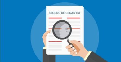 Milloin työttömyysvakuutusmaksuni keskeytetään ja miten minulle ilmoitetaan? 17 logo seguro cesantia 1