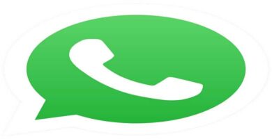 logo whatsapp original 12620
