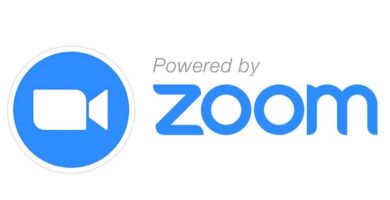 logo zoom