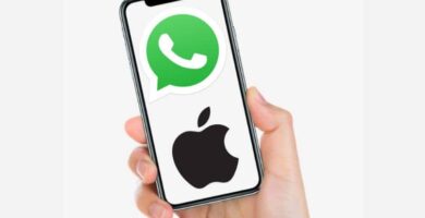 WhatsApp-ilmoitusten tai -viestien soittoäänen muuttaminen iPhonessa 13 movil mano logo whatsapp apple