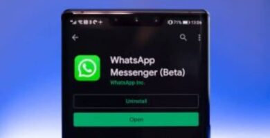 Kuinka ladata WhatsAppin uusin beetaversio? 10 movil whatsapp beta