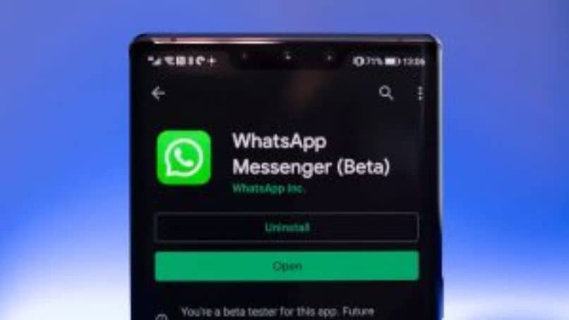 movil whatsapp beta