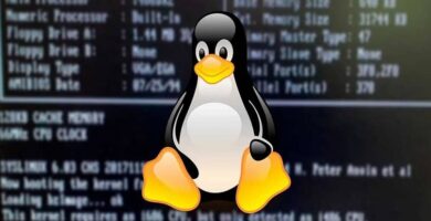 pinguino de linux con numeros de fondo