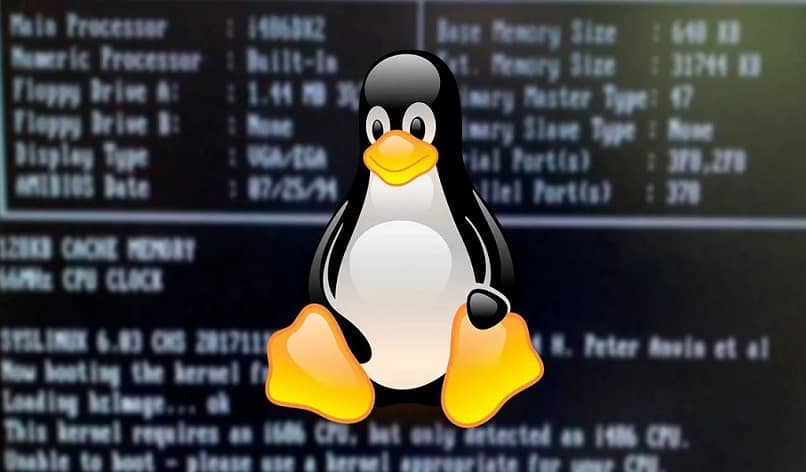 pinguino de linux con numeros de fondo