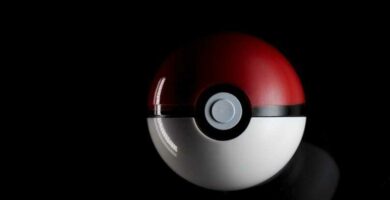 pokemon pokeball 11814