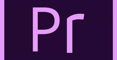 premiere logo morado 13363