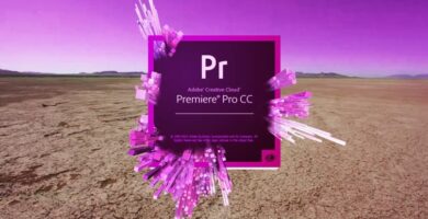 premiere pro 13484