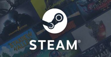 presentacion steam 12266