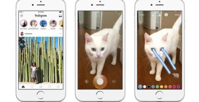Kuinka luoda omia tarroja Instagram-tarinoille iPhonessa ja Androidissa (esimerkki) 37 publicacion gato instagram